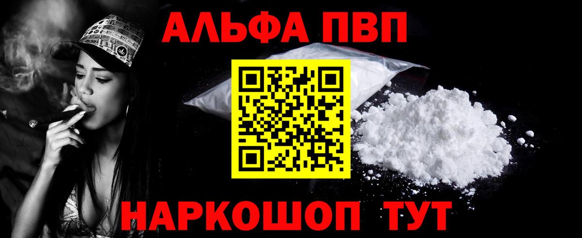 A PVP СК КРИС Людиново