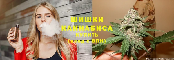дмт Нягань