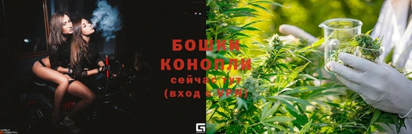 прущая мука Няндома
