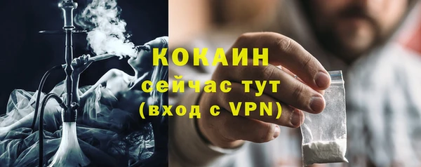 дмт Нягань