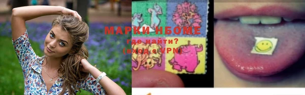 СК Осинники
