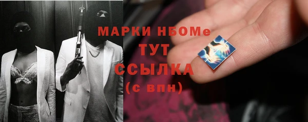 дмт Осташков