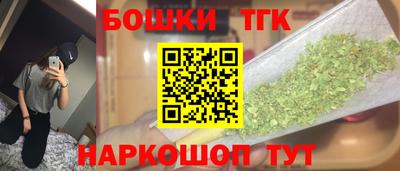 тгк Будённовск
